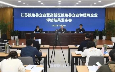 喜報 | 江蘇芯夢半導(dǎo)體獲評江蘇省潛在獨角獸企業(yè)！